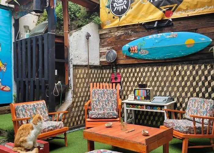 Art Hostel Casa Chaman
