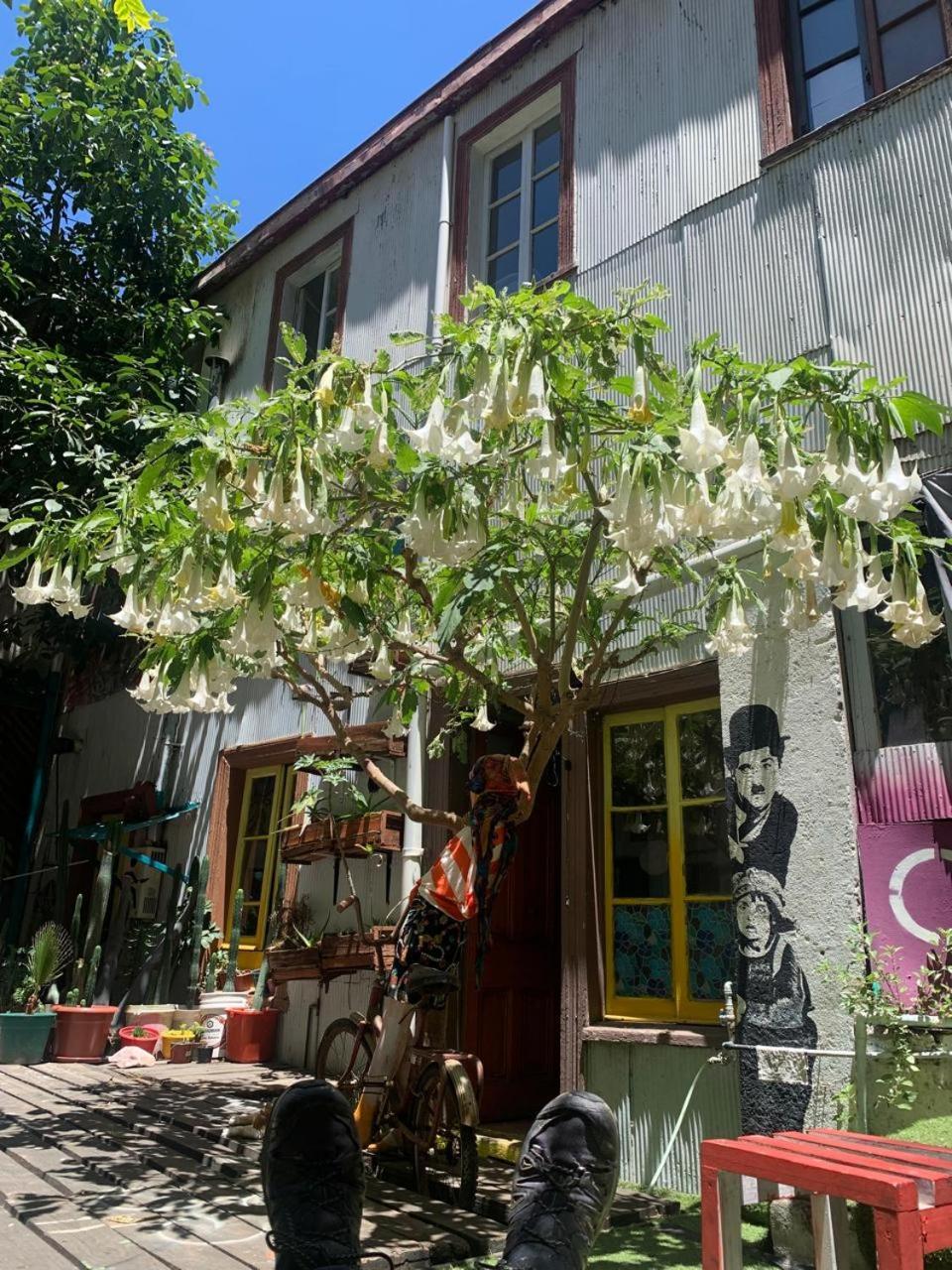Bed and breakfast Art Casa Chaman *